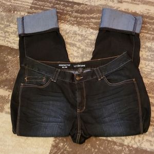 Lane Bryant NWOT perfectly slim jeans, 22 tall